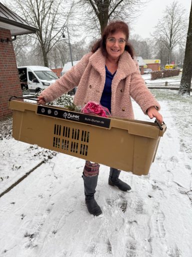 Kerstin - Nächtlicher Einkauf - ein Traum